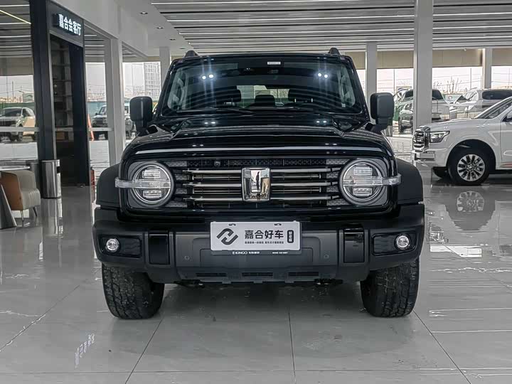 Фото 2 - Tank 300