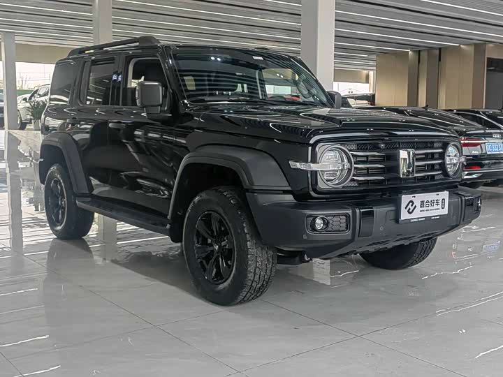 Фото 3 - Tank 300