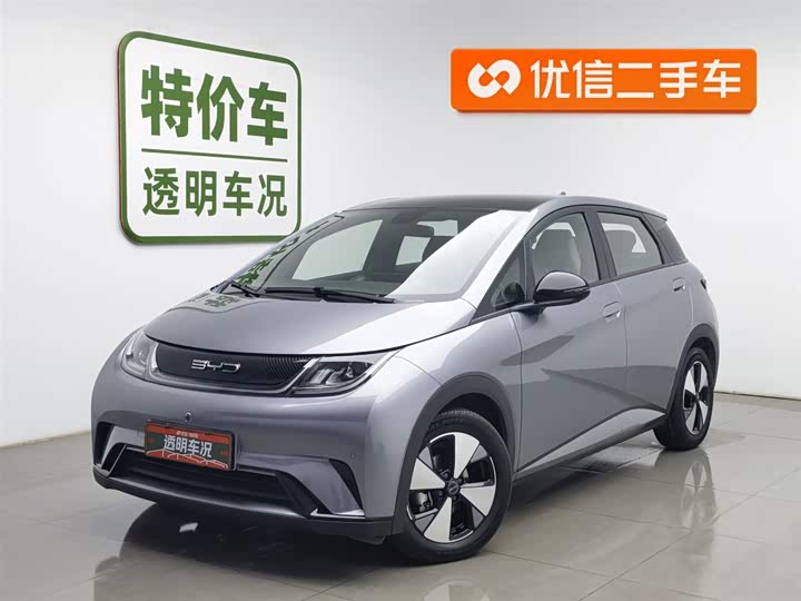 Фото 1 - BYD Dolphin