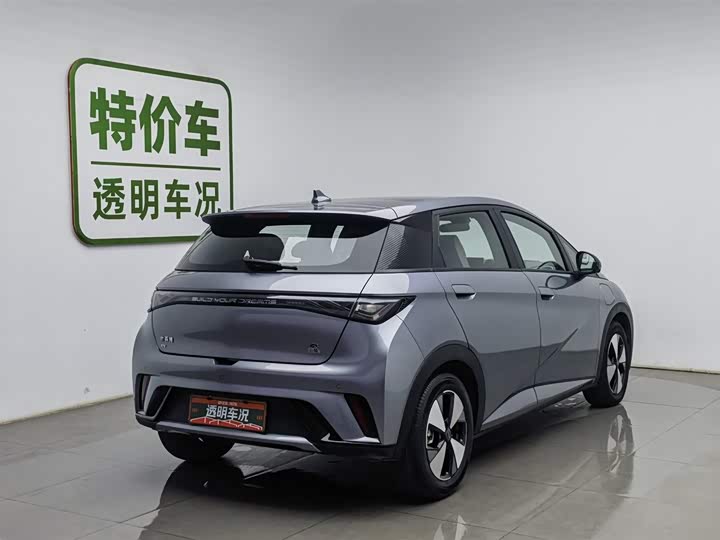 Фото 2 - BYD Dolphin