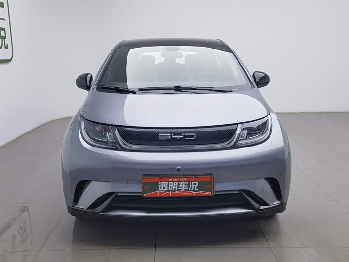 Фото 3 - BYD Dolphin