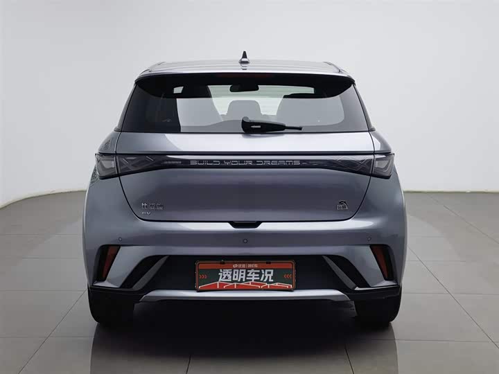 Фото 4 - BYD Dolphin