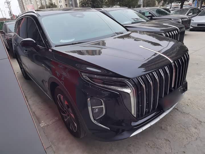 Фото 4 - Hongqi HS7 Hybrid