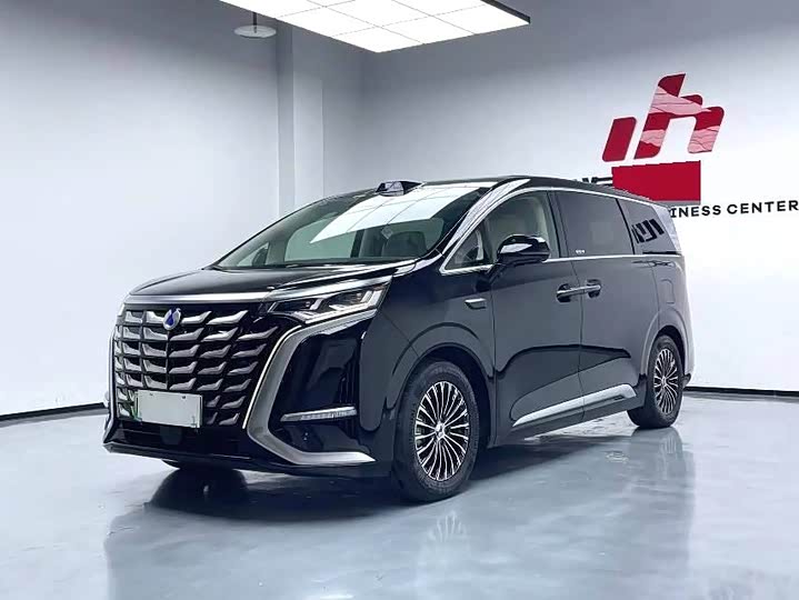 Фото 1 - Denza D9