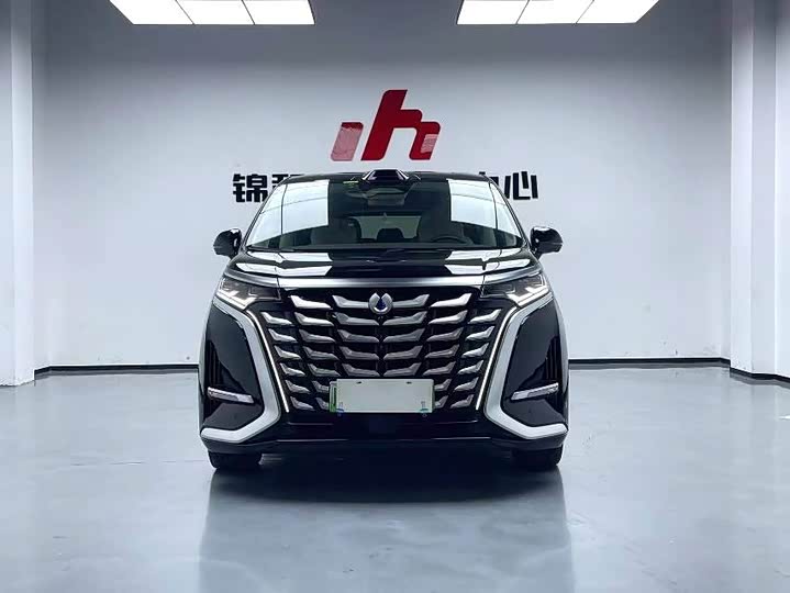 Фото 2 - Denza D9