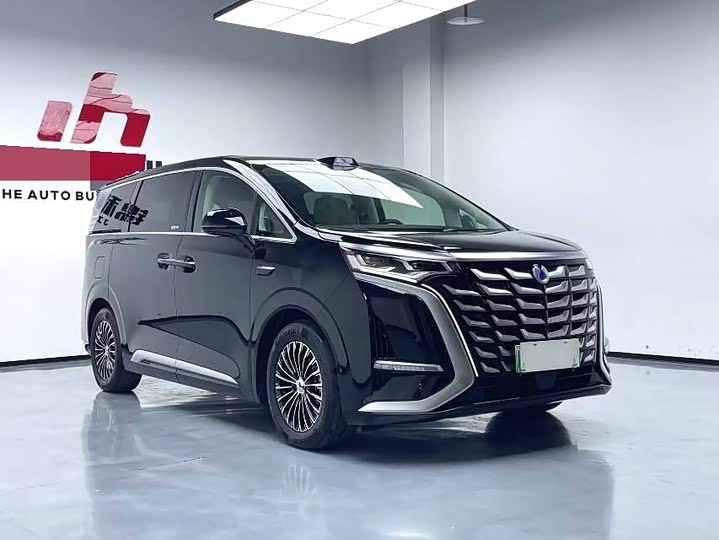 Фото 3 - Denza D9