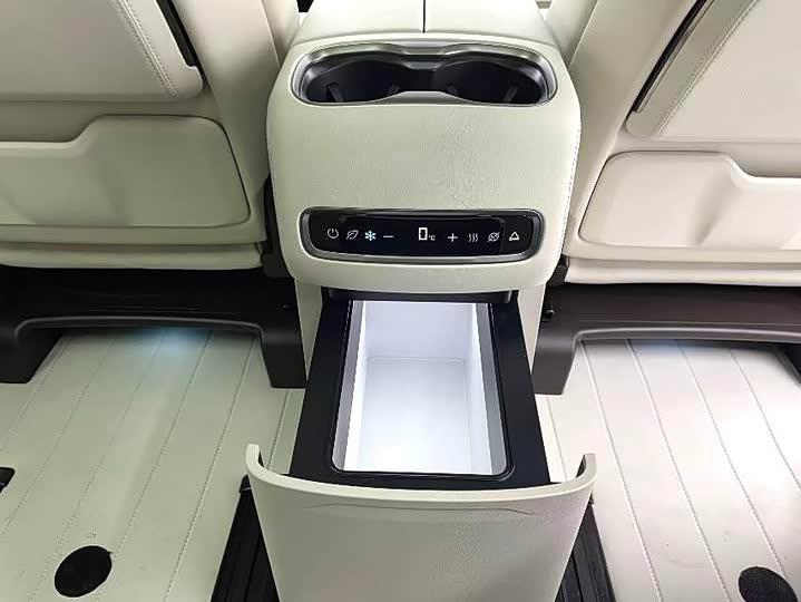 Фото 9 - Denza D9