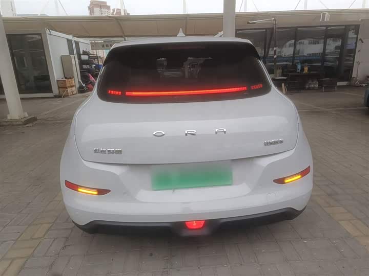 Фото 6 - Ora Good Cat (03)