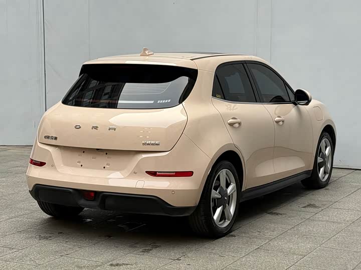 Фото 5 - Ora Good Cat (03)