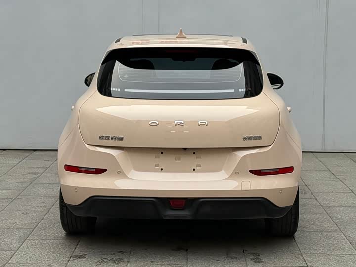 Фото 6 - Ora Good Cat (03)