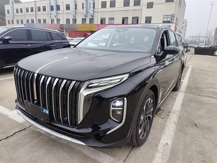Фото 1 - Hongqi HS7 Hybrid