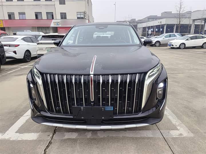 Фото 3 - Hongqi HS7 Hybrid