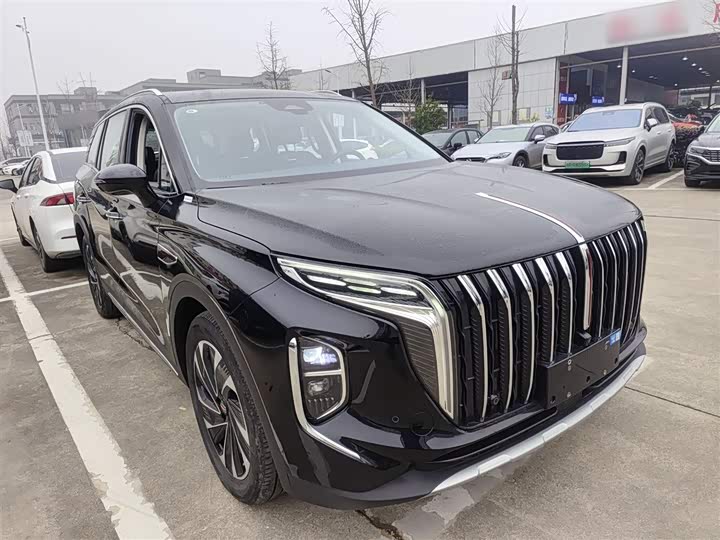Фото 4 - Hongqi HS7 Hybrid