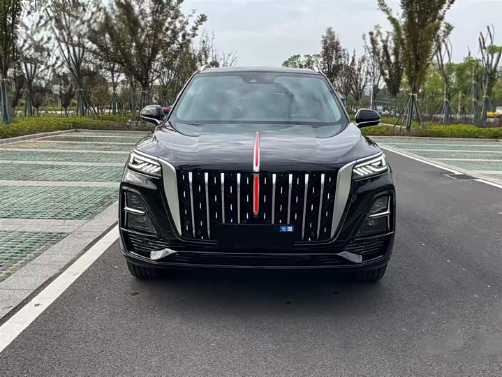 Фото 2 - Hongqi HS5