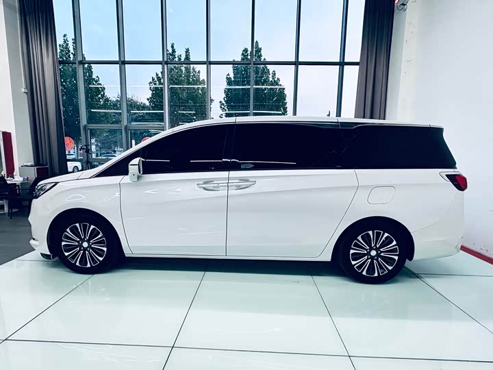 Фото 3 - Buick GL8 ES