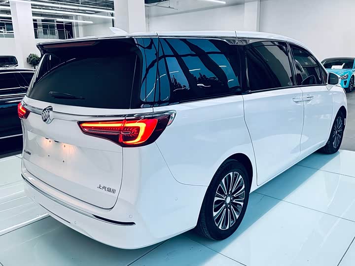 Фото 6 - Buick GL8 ES