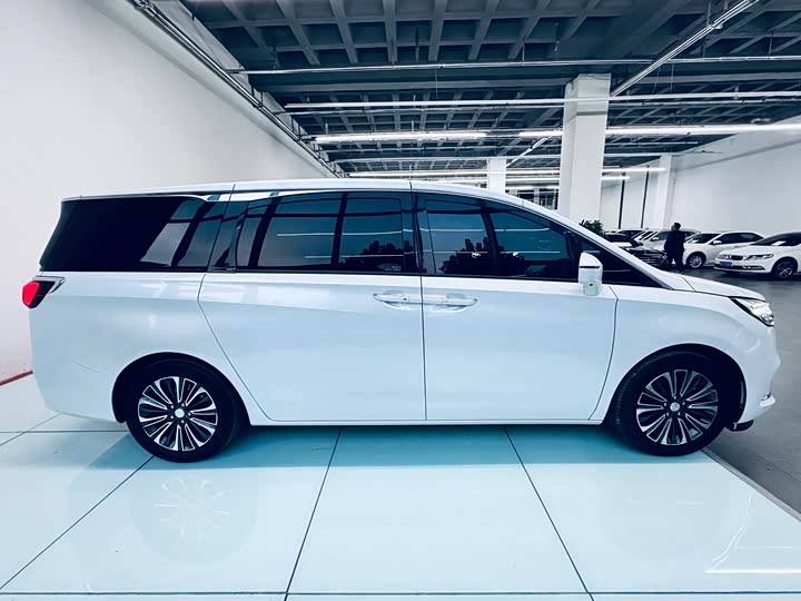 Фото 7 - Buick GL8 ES