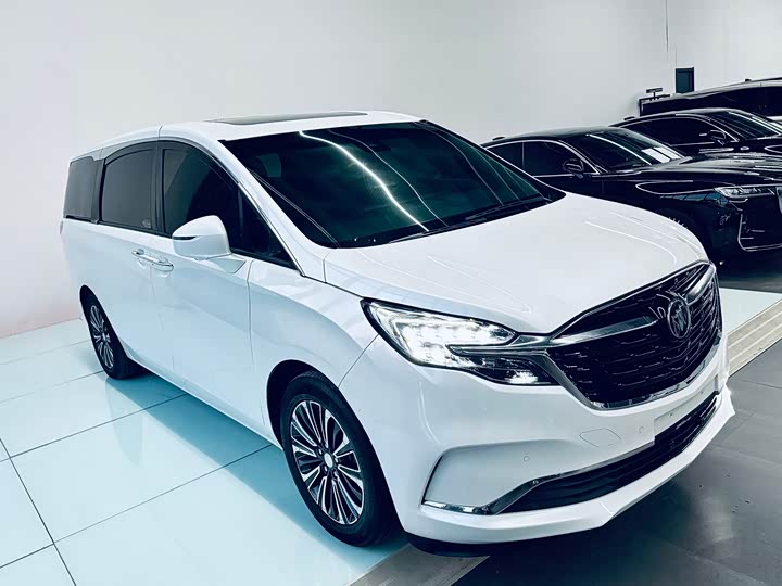 Фото 8 - Buick GL8 ES