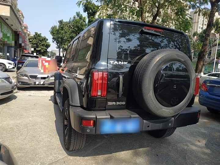 Фото 5 - Tank 300