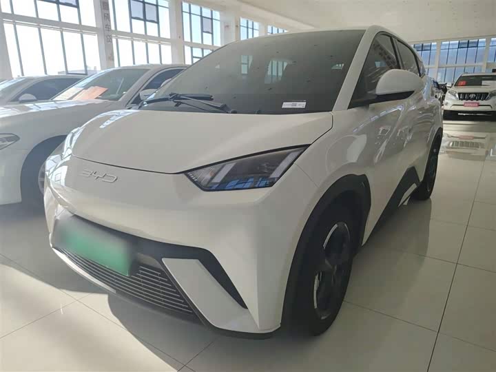 Фото 2 - BYD Seagull