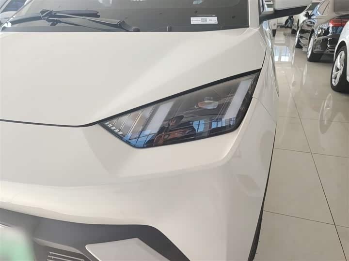 Фото 3 - BYD Seagull