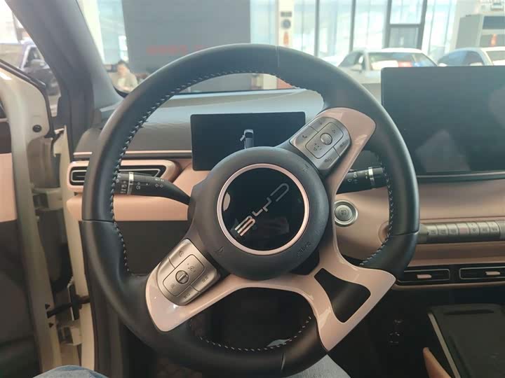 Фото 4 - BYD Seagull