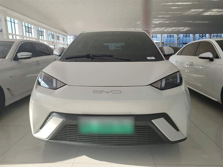 Фото 7 - BYD Seagull