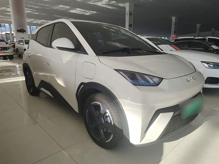 Фото 8 - BYD Seagull