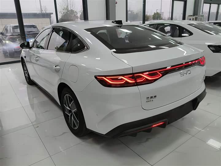 Фото 5 - BYD Qin L