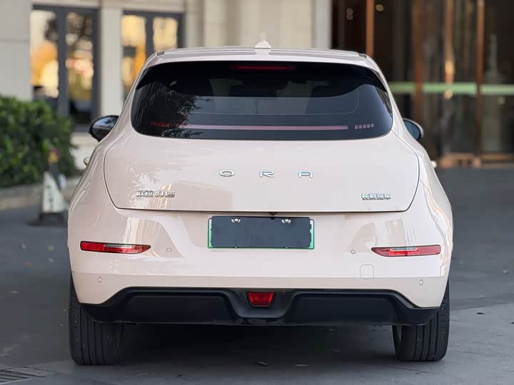 Фото 9 - Ora Good Cat (03)