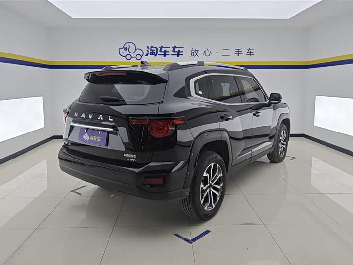 Фото 3 - Haval H-Dog