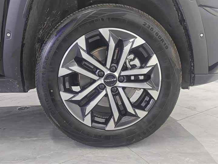 Фото 6 - Haval H-Dog