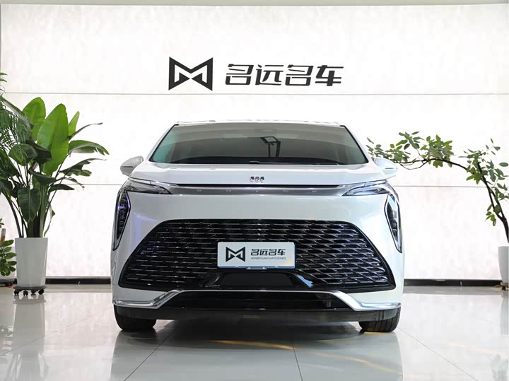 Фото 2 - Buick GL8 Century