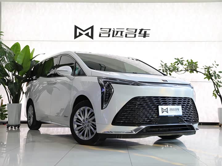 Фото 3 - Buick GL8 Century