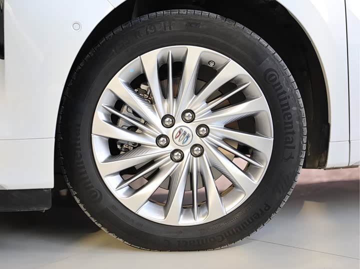 Фото 4 - Buick GL8 Century