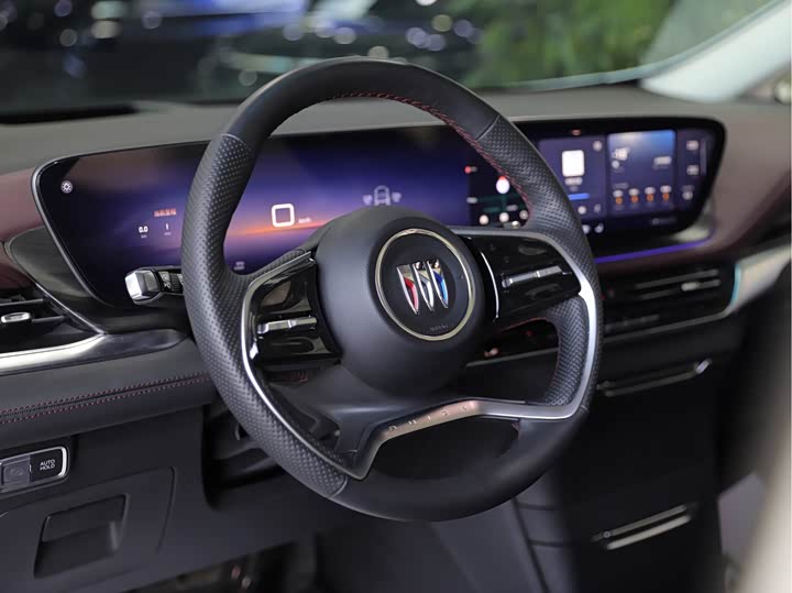 Фото 8 - Buick GL8 Century