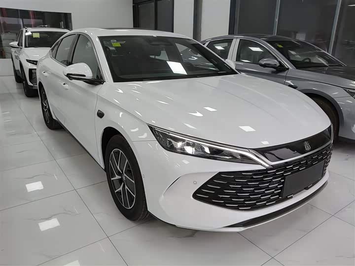 Фото 4 - BYD Qin L