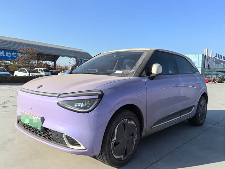 Фото 1 - Dongfeng Nammi 01