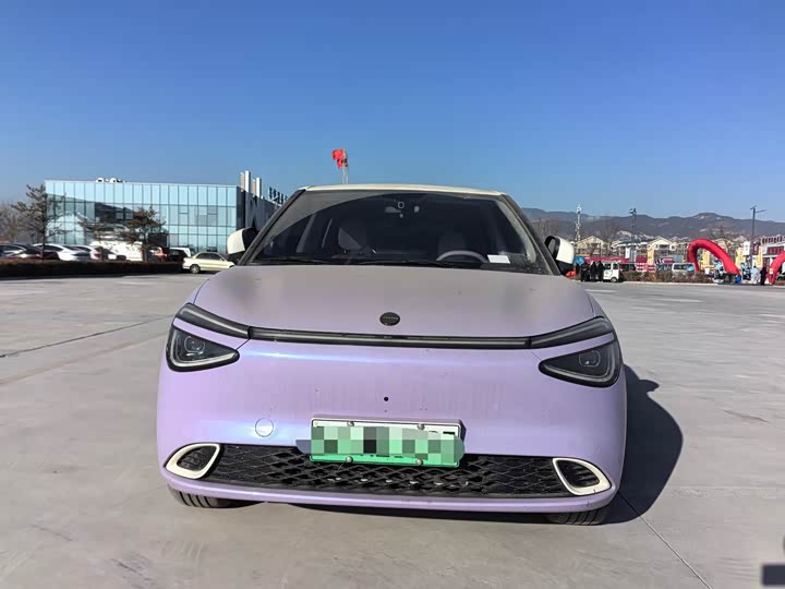 Фото 2 - Dongfeng Nammi 01