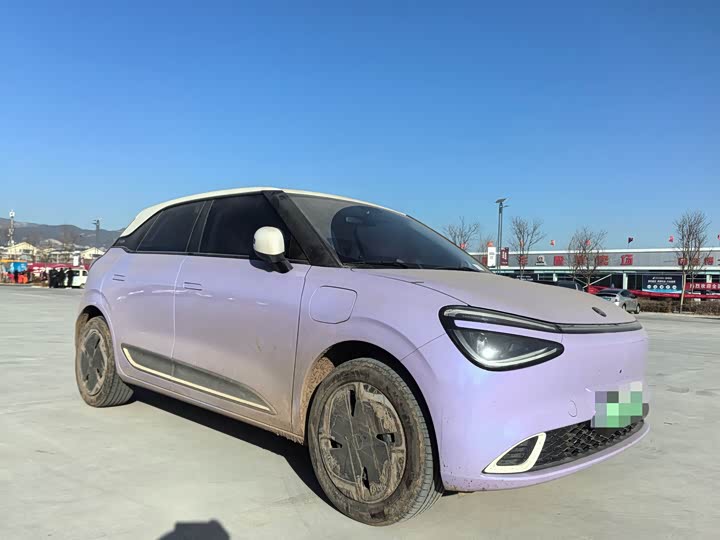 Фото 3 - Dongfeng Nammi 01