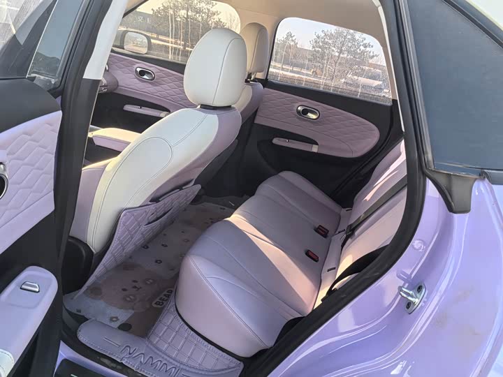 Фото 5 - Dongfeng Nammi 01