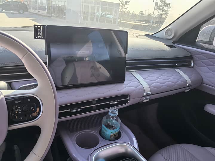 Фото 7 - Dongfeng Nammi 01