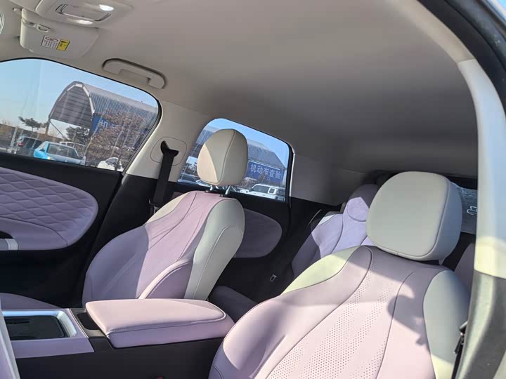 Фото 8 - Dongfeng Nammi 01