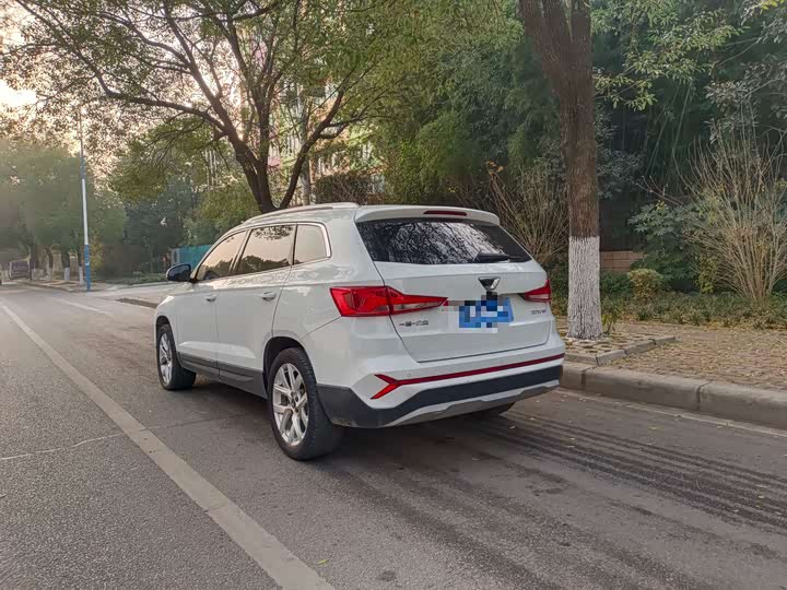 Фото 8 - Jetta VS7