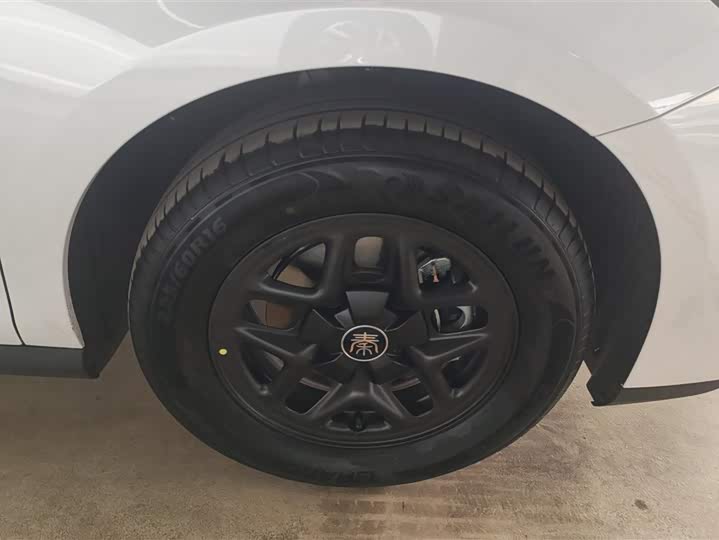 Фото 6 - BYD Qin Plus