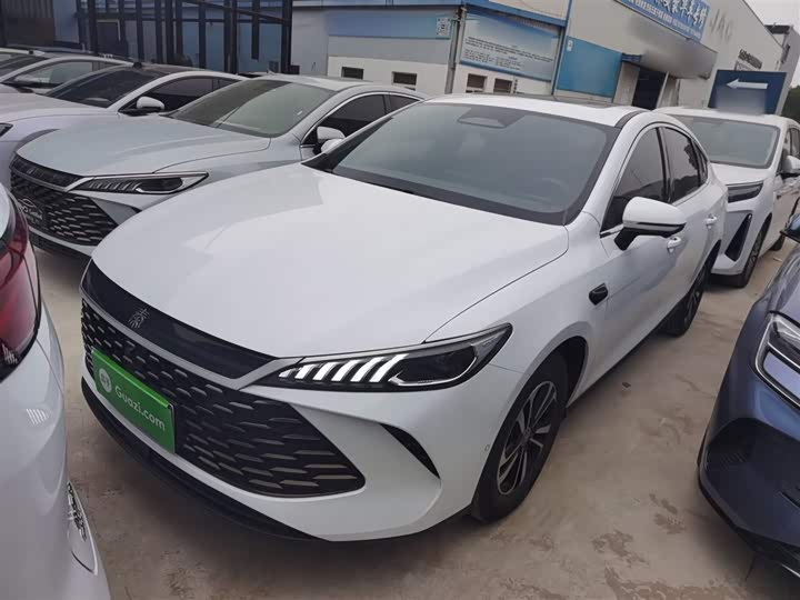 Фото 1 - BYD Qin Plus