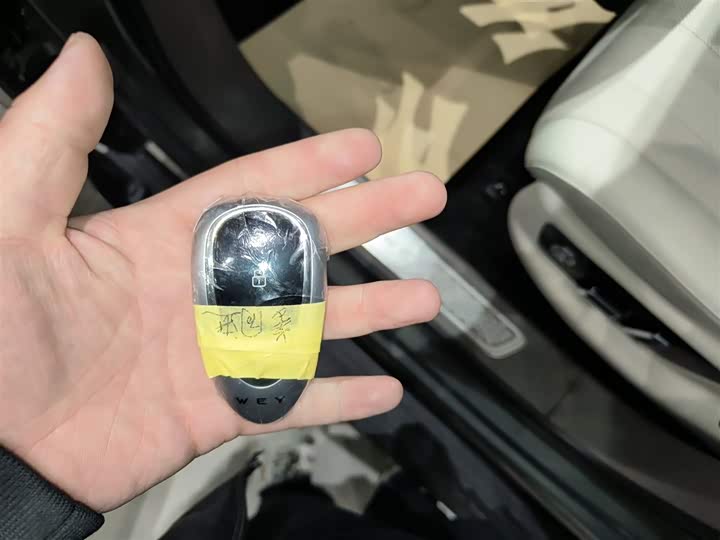 Фото 9 - Wey Lanshan