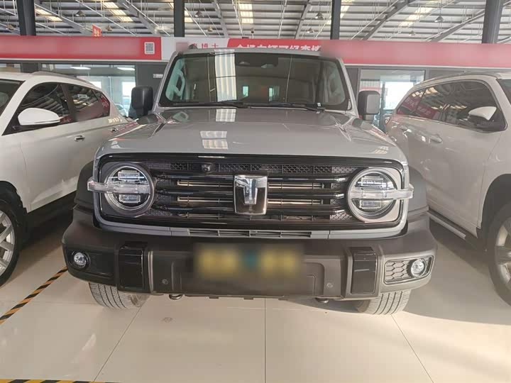 Фото 3 - Tank 300