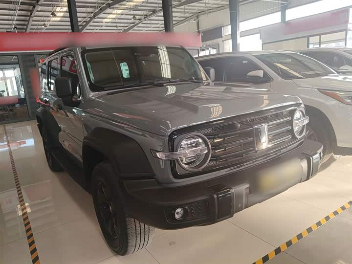 Фото 4 - Tank 300