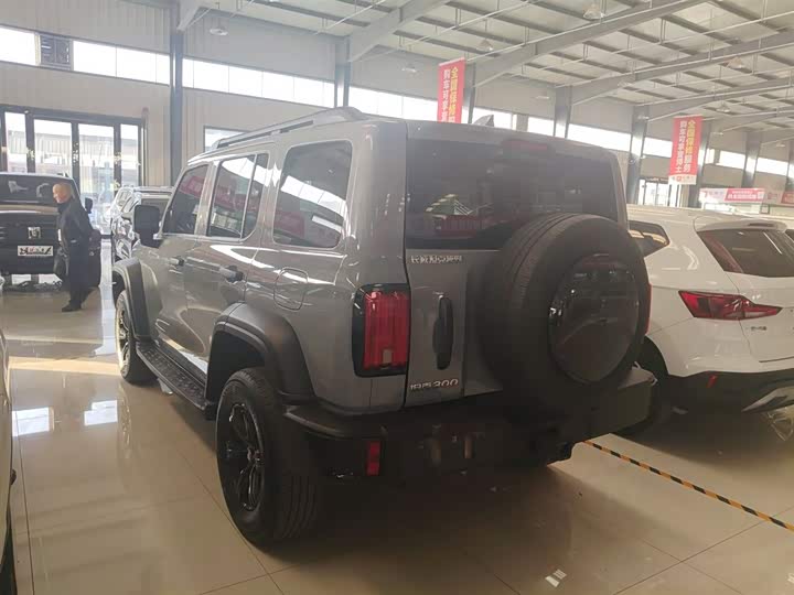 Фото 5 - Tank 300